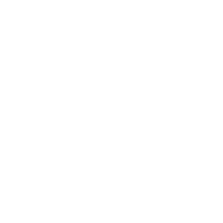 Pallet Trucks 