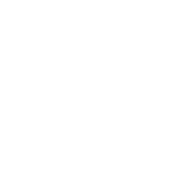 Reach Trucks 